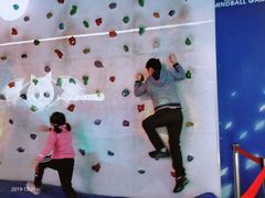 -中国宋庆龄青少年科技文化交流中心