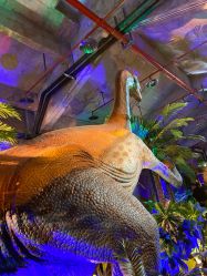 -恐龙探索乐园(磁器口店)