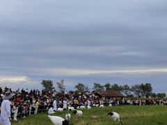 -盐城丹顶鹤湿地生态旅游区