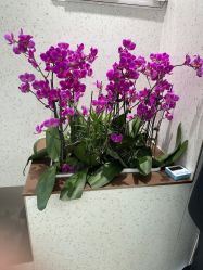 -LJOY丽锦造型·烫发染发