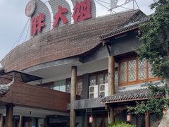 -胖大姐黄辣丁鱼庄(新津店)