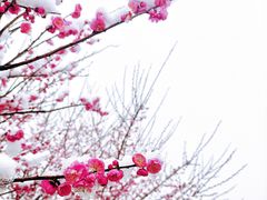 -石潭村