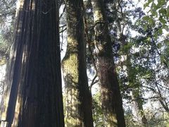 -东天目山风景区