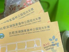 -合肥滨湖国家森林公园