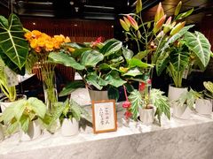 -懒人盐府人家(航天桥店)