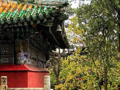 -潭柘寺景区