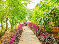 -歌斐颂巧克力小镇