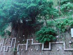 -香港大学