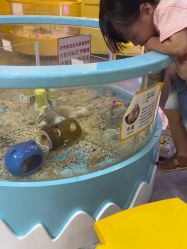 -神奇动物撸宠馆·羊驼·小浣熊·异宠(豫园店)