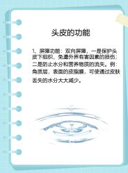 -Bollins波林丝•专研护发中心