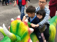 -自贡恐龙博物馆