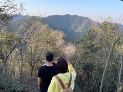 -午潮山国家森林公园