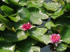-黛秀湖公园