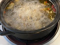 -蘑统田下·野生菌火锅