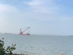 -上海滨江森林公园