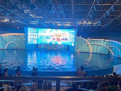 -海合安青岛极地海洋公园