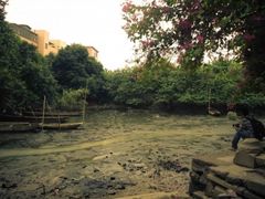 -小洲村