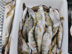 -畲乡一品鱼府土菜馆