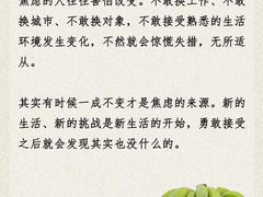-观心实验室·心理咨询(上海旗舰店)