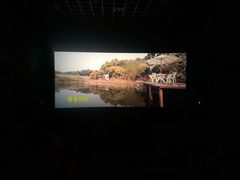 -博纳国际影城IMAX(中央大道店)