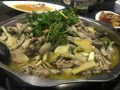 -陈三娃泡姜鸡