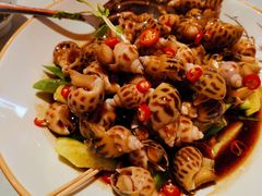 捞汁花螺-肥福排档(星光店)