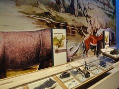 -舟山博物馆