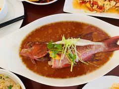 清蒸东星斑-毛里求斯小四川餐厅总店