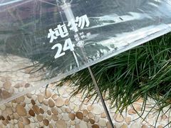 -炖物24章·顺时轻养茶(杭州大厦店)