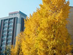 -四川大学(华西校区)