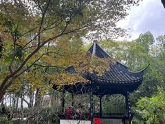 -上海醉白池公园
