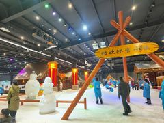 -宁波冰雪大世界(北仑区)