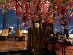 -金轩中餐厅 Jin Xuan(浦东丽思卡尔顿酒店)