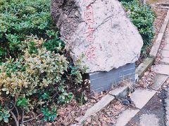-金陵图书馆