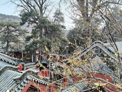 -泰山风景名胜区-普照寺