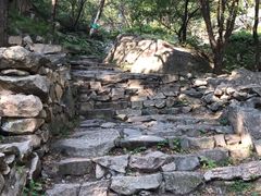 -北京鹫峰国家森林公园