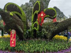 -南山植物园