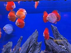 -威海华夏城景区