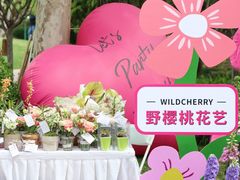 -WildCherry·野樱桃花艺