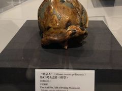 -北京周口店北京人遗址博物馆