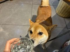 -Brut Eatery悦璞食堂(愚园路店)