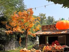 -HERRE·FARM 赫尔露营农场·团建聚会包场