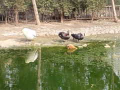 -济南野生动物世界