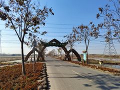 -池杉湖湿地公园
