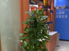 -茂菊口腔连锁(浦东南路店)