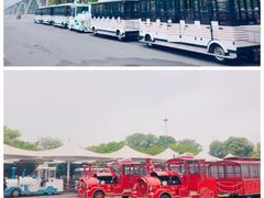 -黑色经典臭豆腐·湖南特产(步行街店)