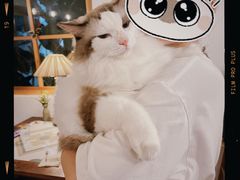 -In Cafe隐食研室