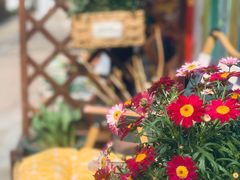 -Rabbit Cafe私房西餐甜点咖啡(栖霞路店)