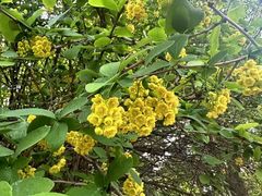 -南京金牛湖风景区