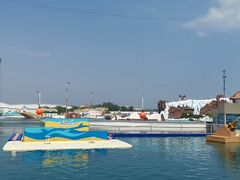 -秦皇岛乐岛海洋王国